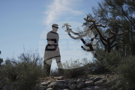 Savannah Guthrie Mom Missing