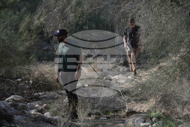 Savannah Guthrie Mom Missing