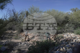 Savannah Guthrie Mom Missing