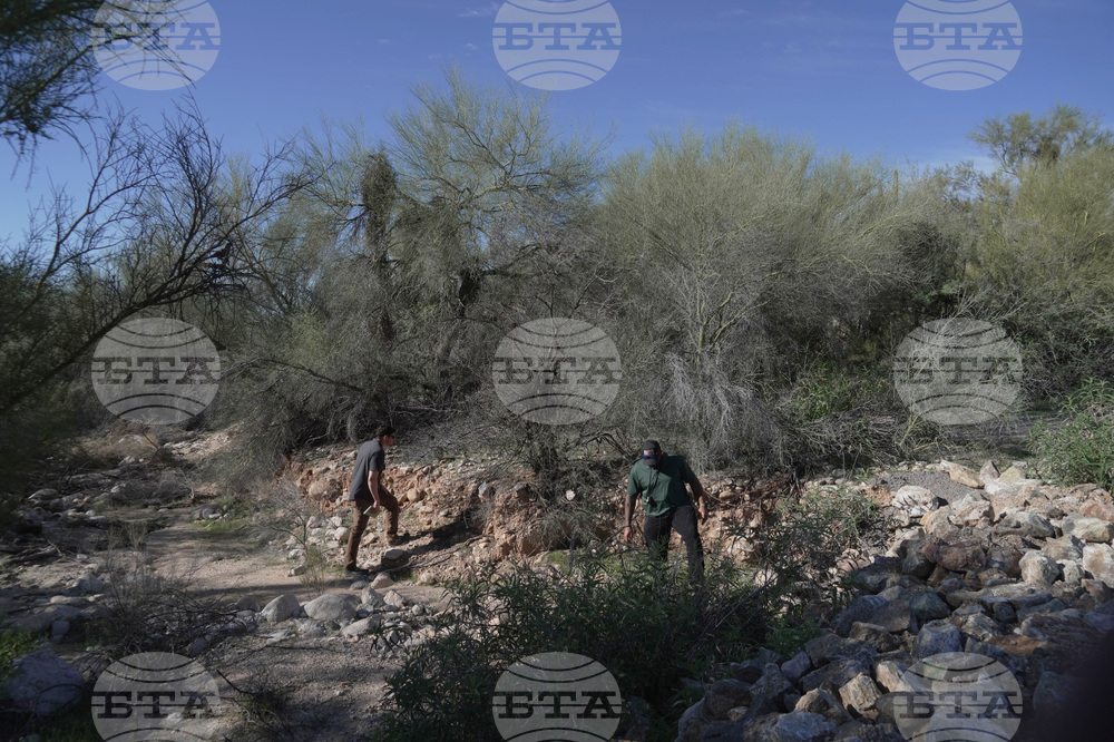 Savannah Guthrie Mom Missing