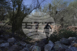 Savannah Guthrie Mom Missing