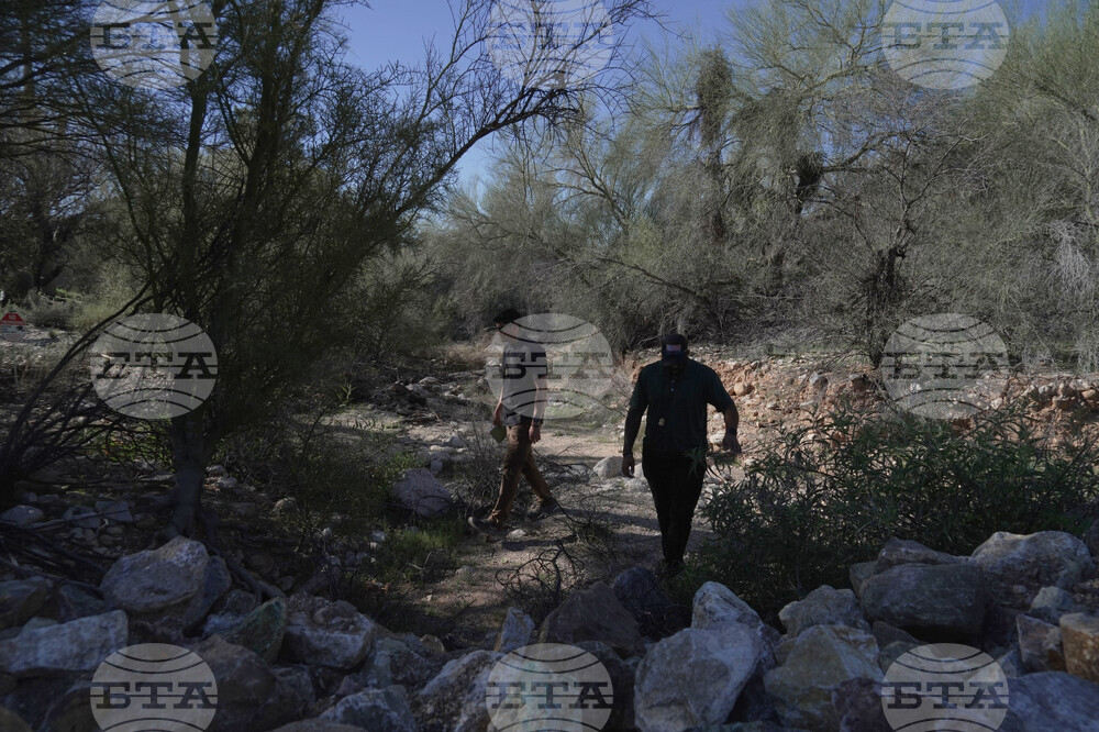 Savannah Guthrie Mom Missing