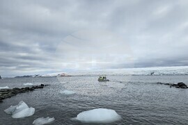 Антарктида - 34-та българска антарктическа експедиция - научно гмуркане - Дионисия Ригату - Елени Китину