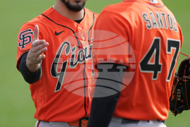 Giants Spring Baseball
