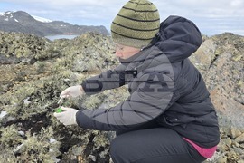 Антарктида - 34-та българска антарктическа експедиция - Снежана Русинова-Видева - микробиолог - антарктически дрожди - антиракова активност