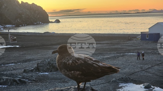 Научноизследователският кораб "Св. св. Кирил и Методий" транспортира българска и испанска група от о. Ливингстън