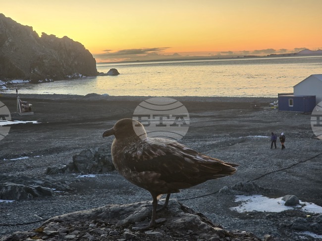 Научноизследователският кораб "Св. св. Кирил и Методий" транспортира българска и испанска група от о. Ливингстън
