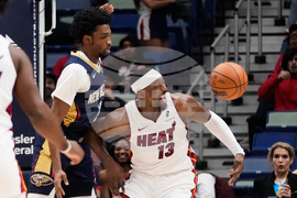 Heat Pelicans Basketball