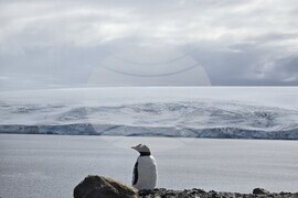 Антарктида - 34-та българска антарктическа експедиция - научни проекти 