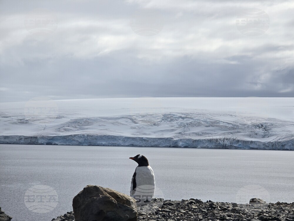 Several Research Projects Scheduled at Bulgaria’s St Kliment Ohridski Antarctic Base