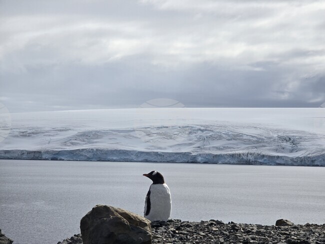 Several Research Projects Scheduled at Bulgaria’s St Kliment Ohridski Antarctic Base