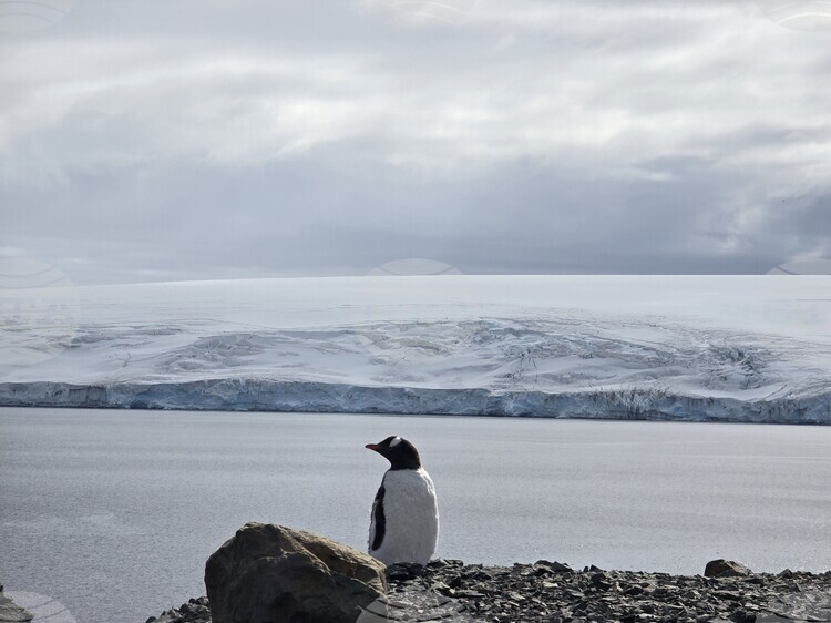 Several Research Projects Scheduled at Bulgaria’s St Kliment Ohridski Antarctic Base