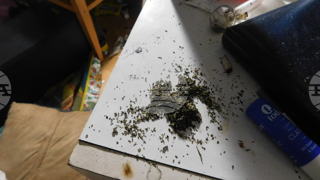 При специализирана операция за противодействие на наркоразпространението в Разград са задържани девет криминално проявени 