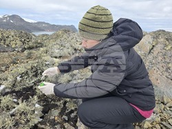 Antarctica – 34th Bulgarian Antarctic Expedition – Snezhana Rusinova-Videva – microbiologist – Antarctic yeasts – anticancer activity