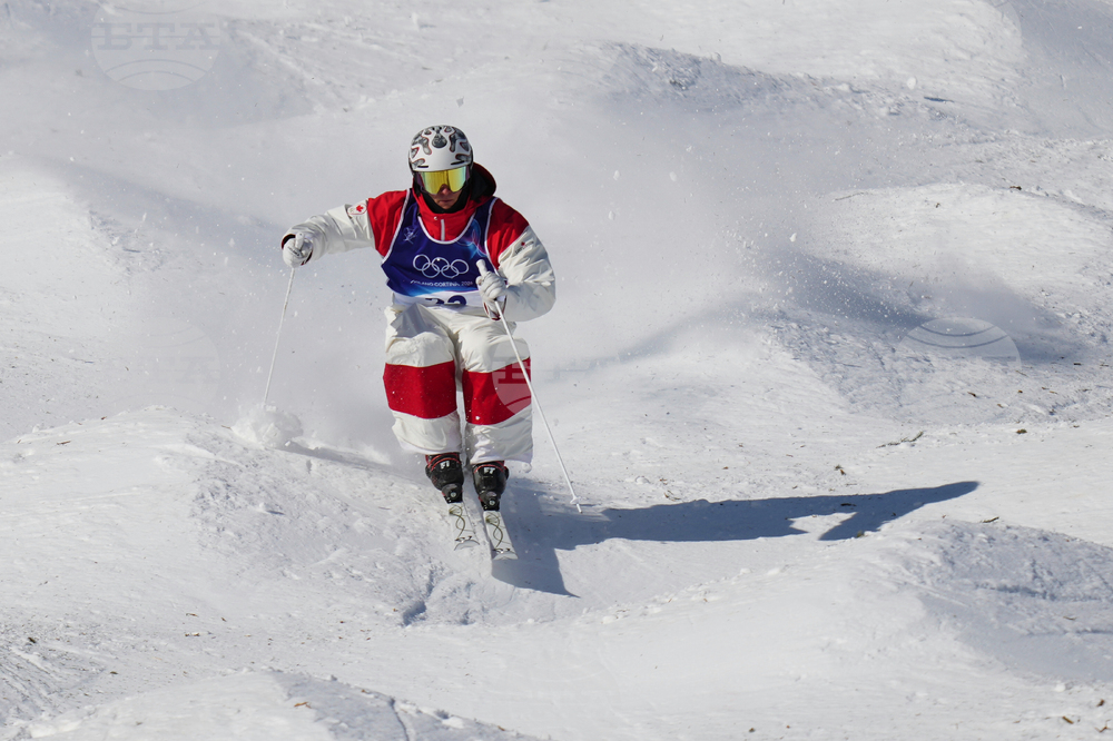 Milan Cortina Olympics Freestyle Skiing