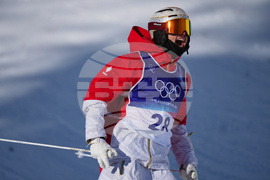 Milan Cortina Olympics Freestyle Skiing