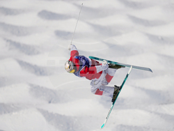 Milan Cortina Olympics Freestyle Skiing