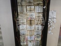 Видин - Регионална библиотека - книжна инсталация