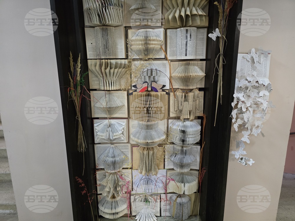 Видин - Регионална библиотека - книжна инсталация