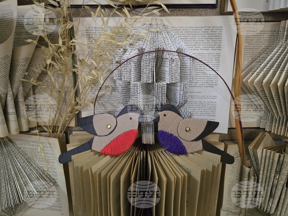 Видин - Регионална библиотека - книжна инсталация