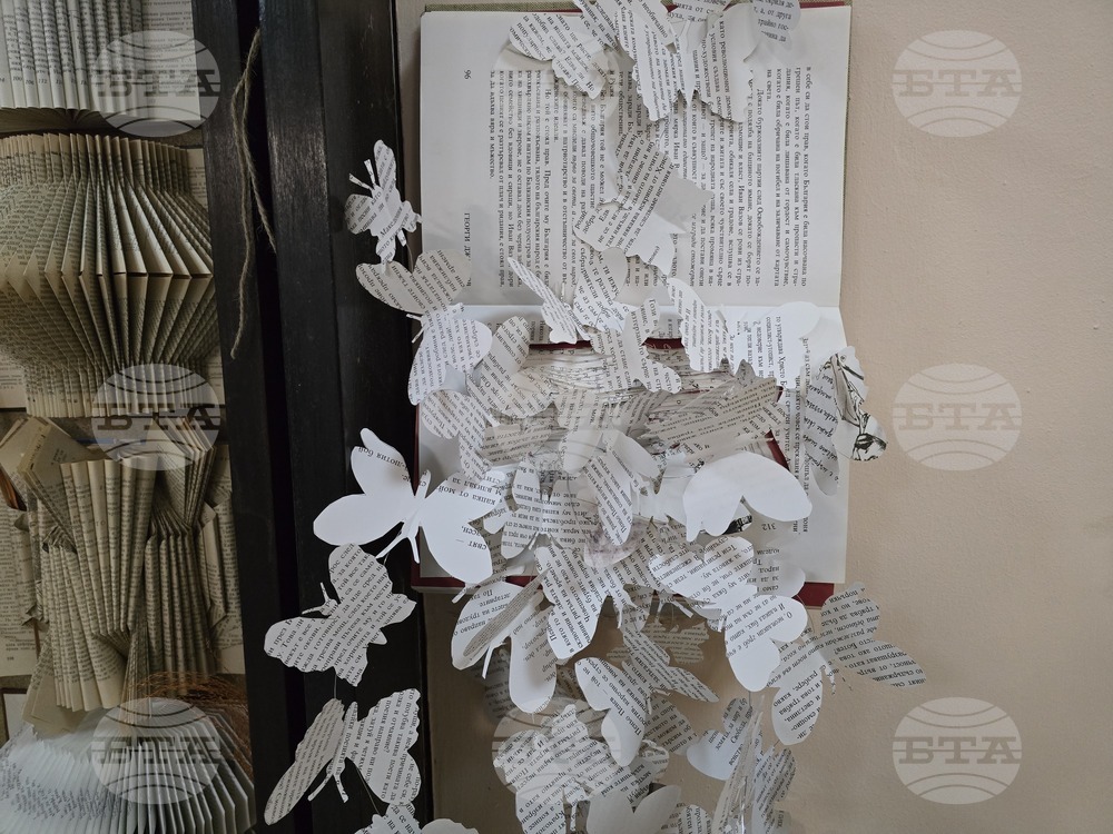 Видин - Регионална библиотека - книжна инсталация