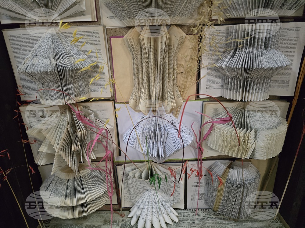 Видин - Регионална библиотека - книжна инсталация