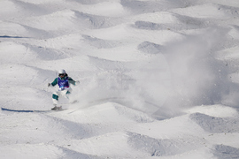 Milan Cortina Olympics Freestyle Skiing