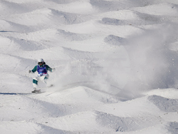 Milan Cortina Olympics Freestyle Skiing