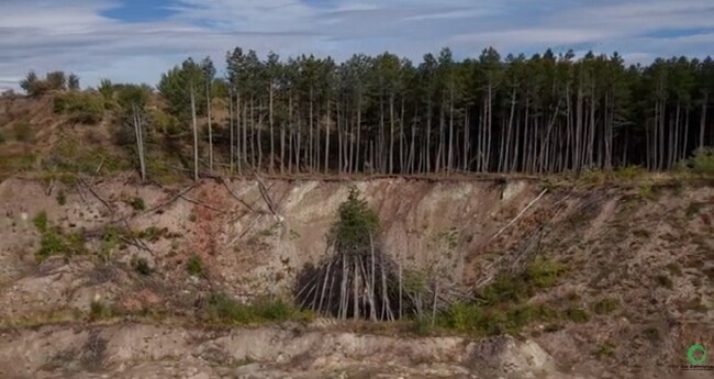 Пътна карта на въглищните терени, която да ги подготви за нов живот, поиска „За Земята“ от Министерство на енергетиката
