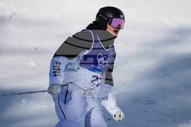 Milan Cortina Olympics Freestyle Skiing