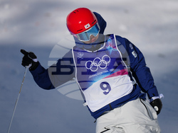 Milan Cortina Olympics Freestyle Skiing