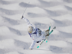 Milan Cortina Olympics Freestyle Skiing