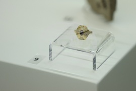 Деветнадесета национална археологическа изложба „Българска археология 2025“ - представяне