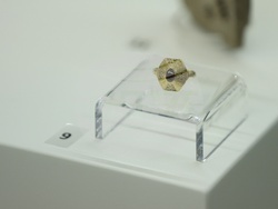 Деветнадесета национална археологическа изложба „Българска археология 2025“ - представяне