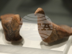 Деветнадесета национална археологическа изложба „Българска археология 2025“ - представяне