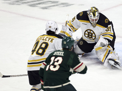Bruins Wild Hockey