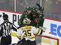 Bruins Wild Hockey