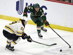 Bruins Wild Hockey