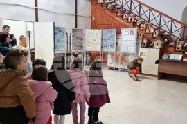 Враца - изложба - влажни зони