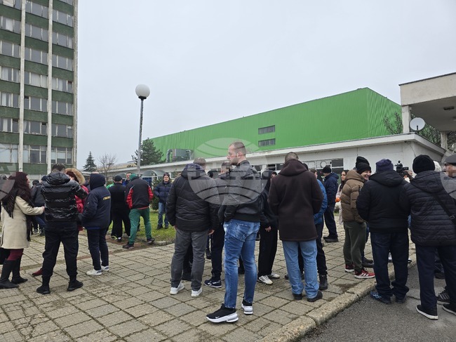 Workers of Svilocell Plant in Svishtov Demand Unpaid Wages