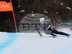 Milan Cortina Olympics Alpine Skiing