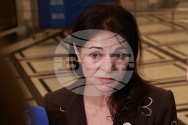 Народно събрание - Росица Кирова - изявление