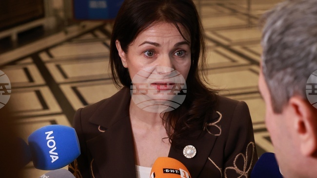 Има технически аргументи секциите в страни извън ЕС да бъдат 20, коментира Росица Кирова от ГЕРБ-СДС