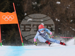Milan Cortina Olympics Alpine Skiing