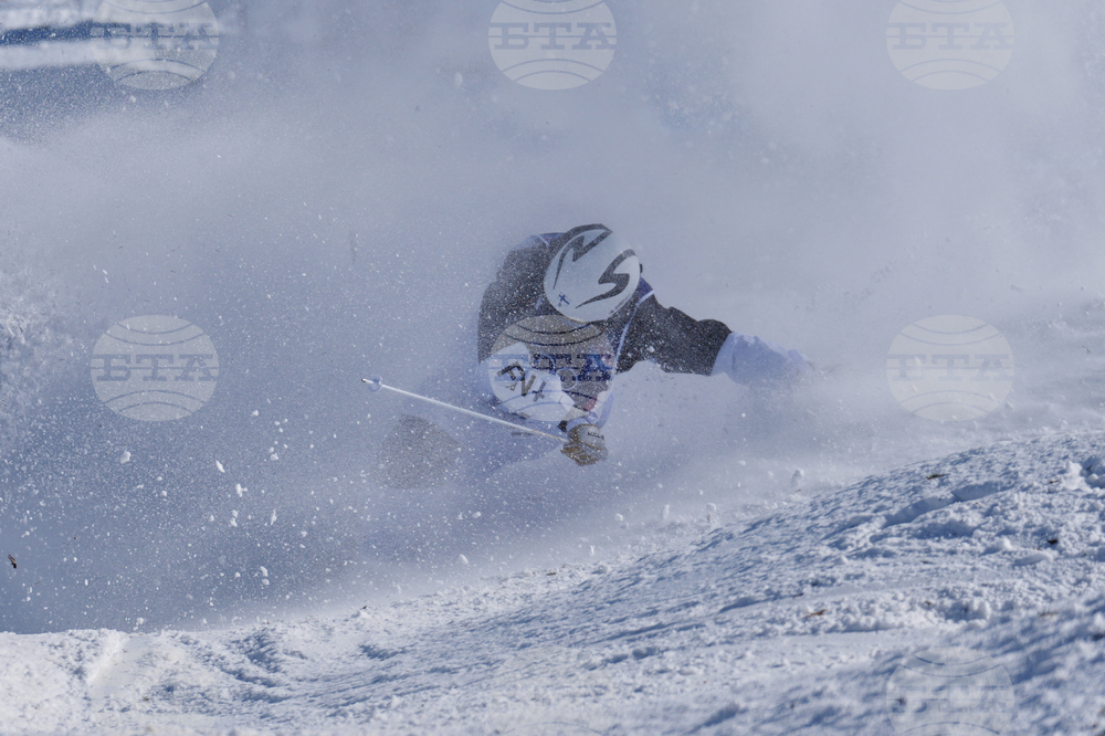 Milan Cortina Olympics Freestyle Skiing