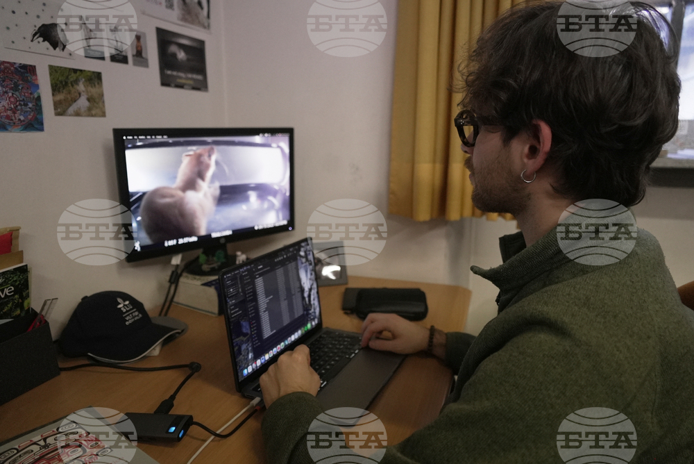 Milan Cortina Olympics Mascots