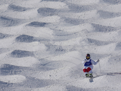 Milan Cortina Olympics Freestyle Skiing