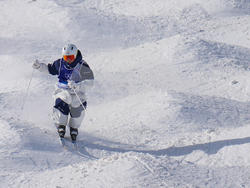 Milan Cortina Olympics Freestyle Skiing