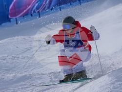 Milan Cortina Olympics Freestyle Skiing