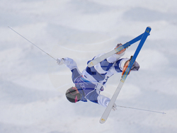 Milan Cortina Olympics Freestyle Skiing